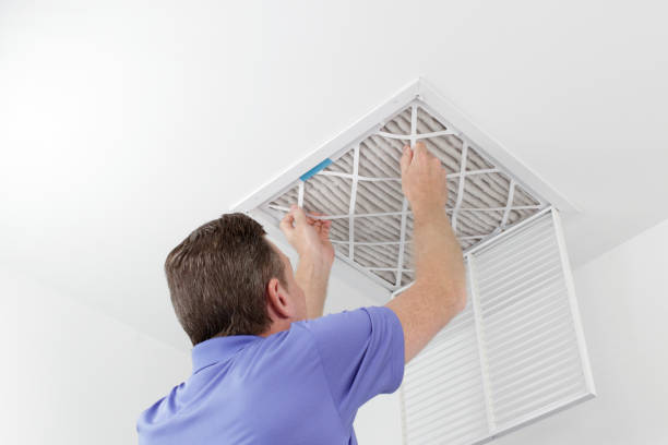 Best Ductwork Cleaning Services  in Lost Hills, CA
